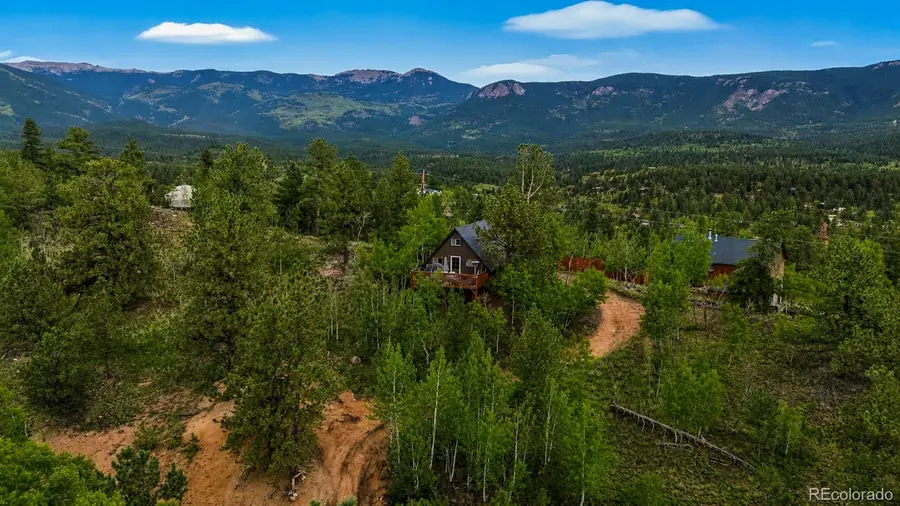 229 Mcdougal Road, Bailey, CO 80421 - #2