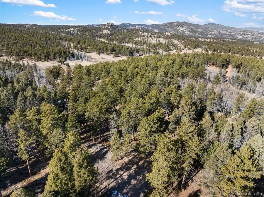 Lot 20A Echo Lake Drive, Lake George, CO 80827 - Image #2