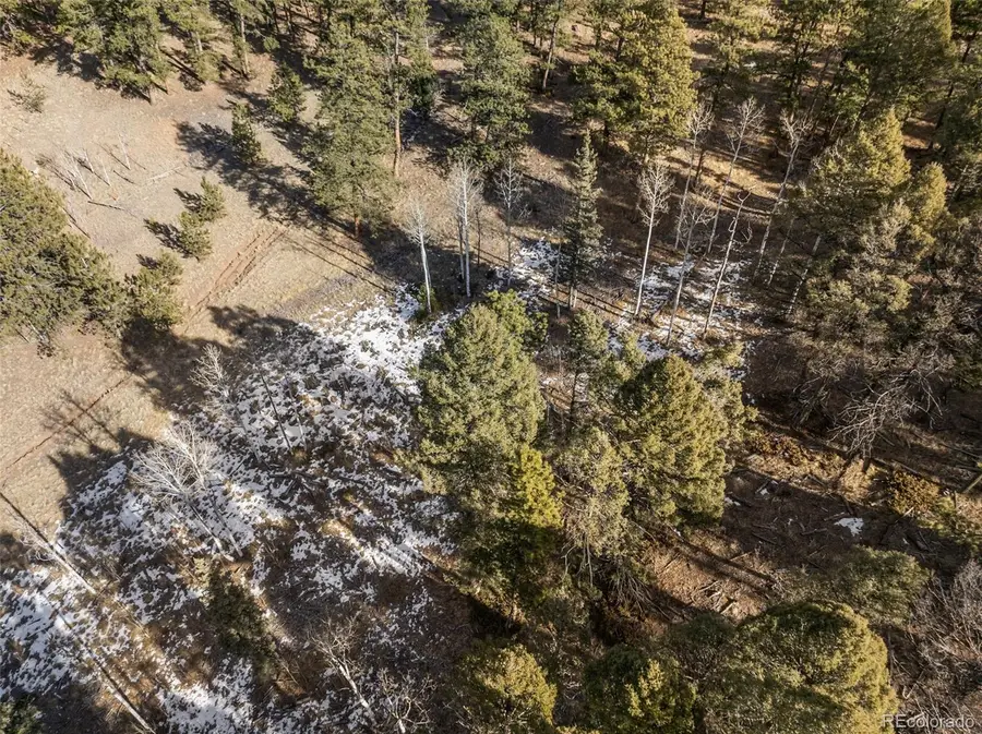 Lot 20A Echo Lake Drive, Lake George, CO 80827 - Image #3