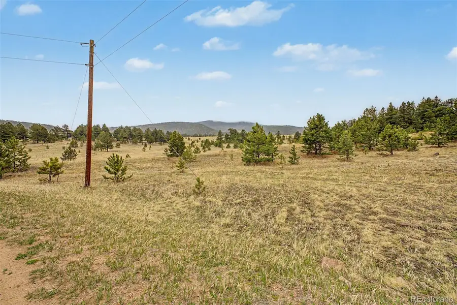 0 Ranger Station Road, Florissant, CO 80816 - #2