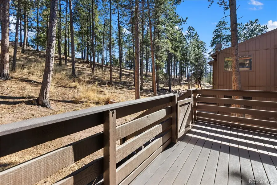 570 Manor Court #D, Woodland Park, CO 80863 - #3