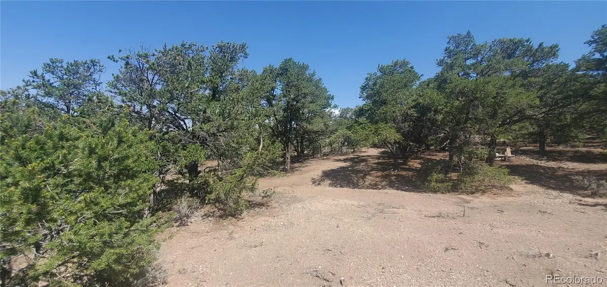 Lot 1412 Michaels Road, Fort Garland, CO 81133 - #1
