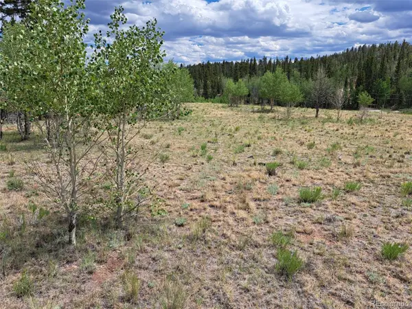6242 Remington Road, Como, CO 80432