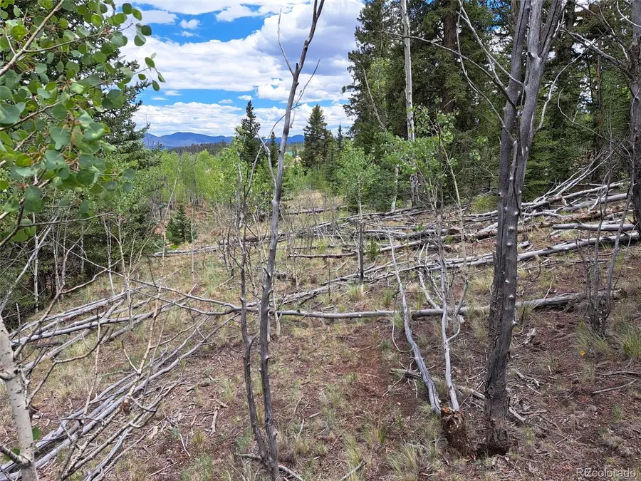 6242 Remington Road, Como, CO 80432 - #2