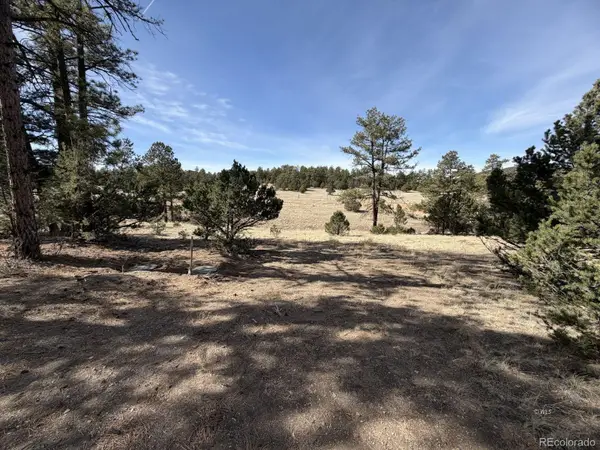 262 Harmon Drive, Cotopaxi, CO 81223