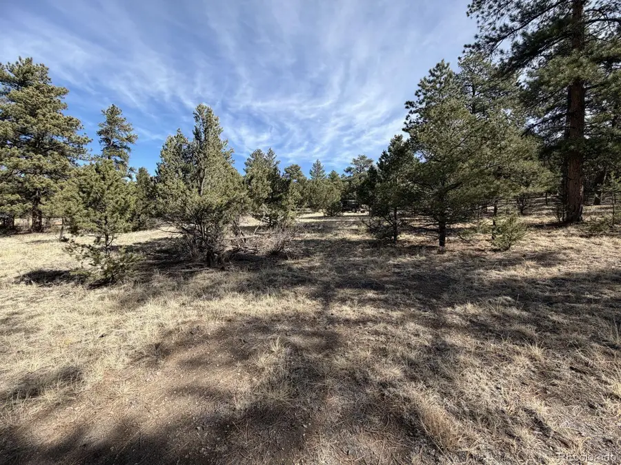 262 Harmon Drive, Cotopaxi, CO 81223 - #2