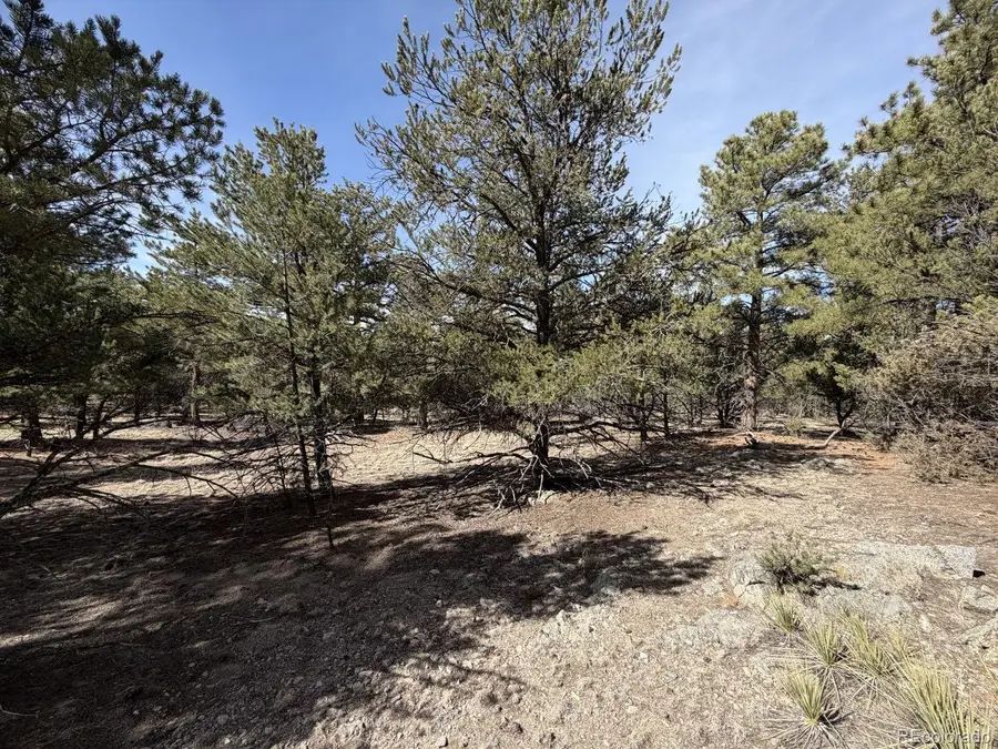 262 Harmon Drive, Cotopaxi, CO 81223 - #3