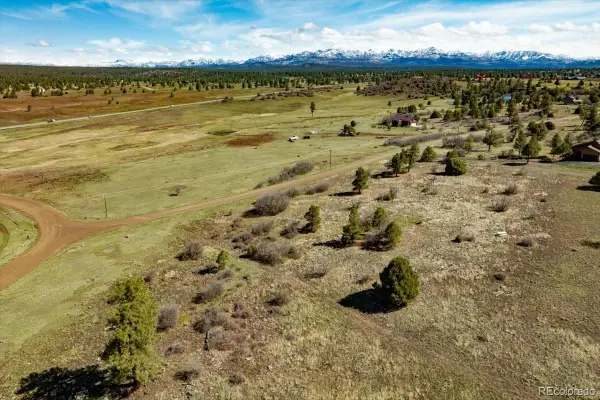 1234 Scenic Avenue, Pagosa Springs, CO 81147