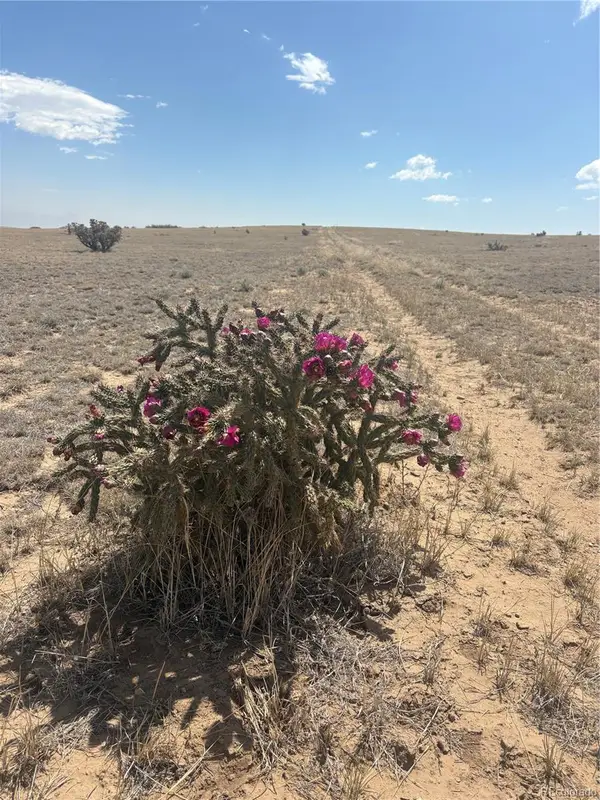 Lot 10 Cuerno Verde Ranches, Walsenburg, CO 81089