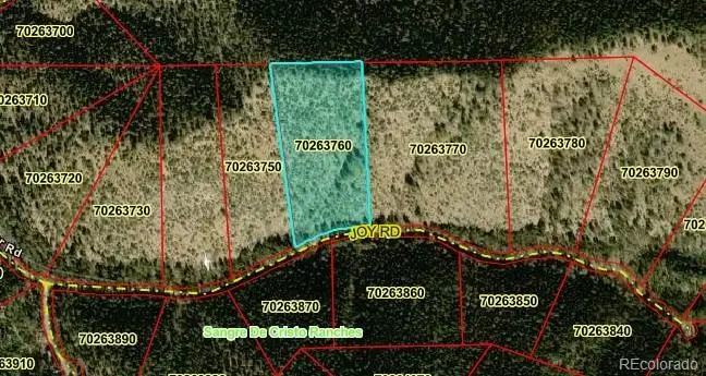 Lot 5526 Joy Road, Fort Garland, CO 81133 - #2