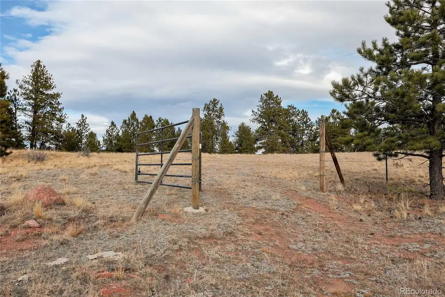 000 Twinkle Road, Guffey, CO 80820 - Image #3