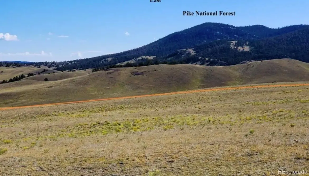 1804 Santee Trail, Guffey, CO 80820 - #1