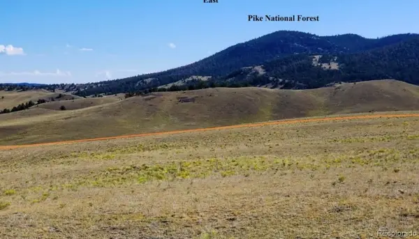 1804 Santee Trail, Guffey, CO 80820