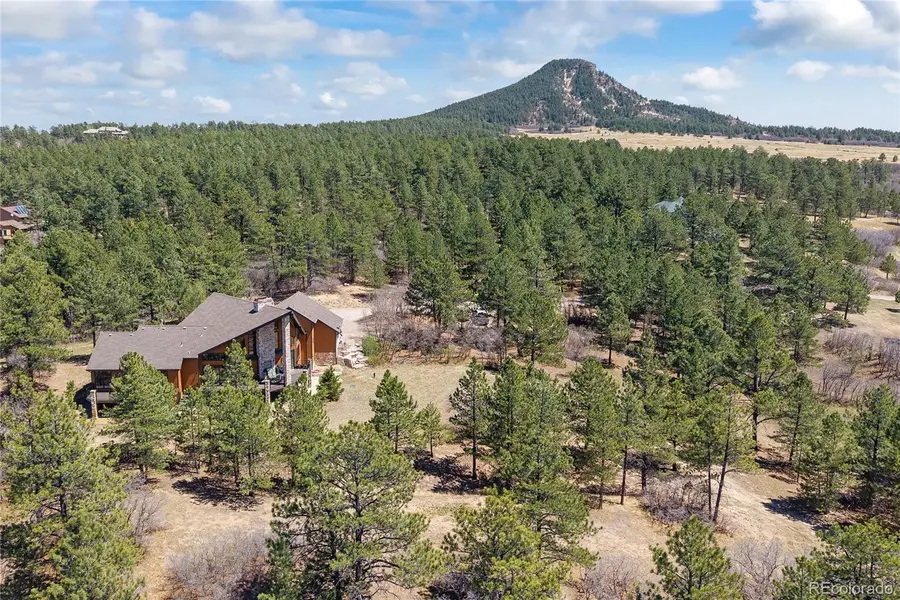 9676 S Perry Park Road, Larkspur, CO 80118 - #2