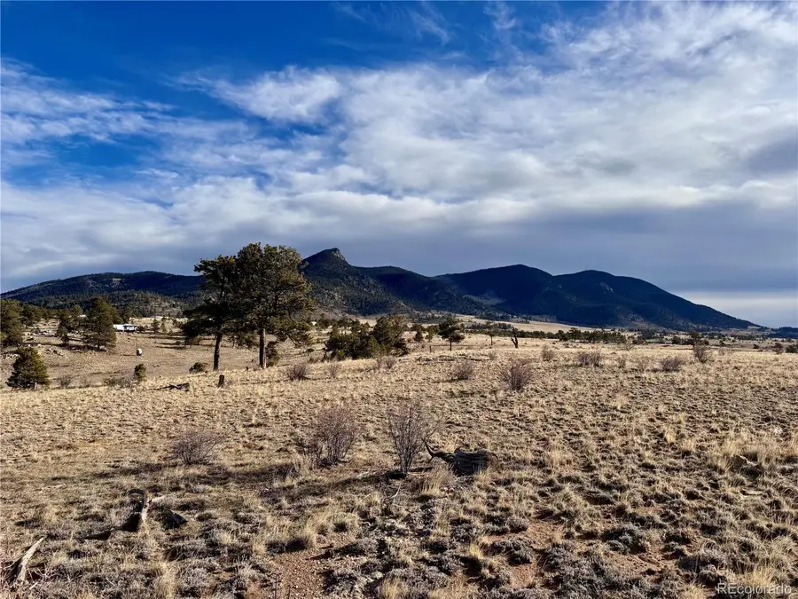 10620 Routt Road, Lake George, CO 80449 - Image #3