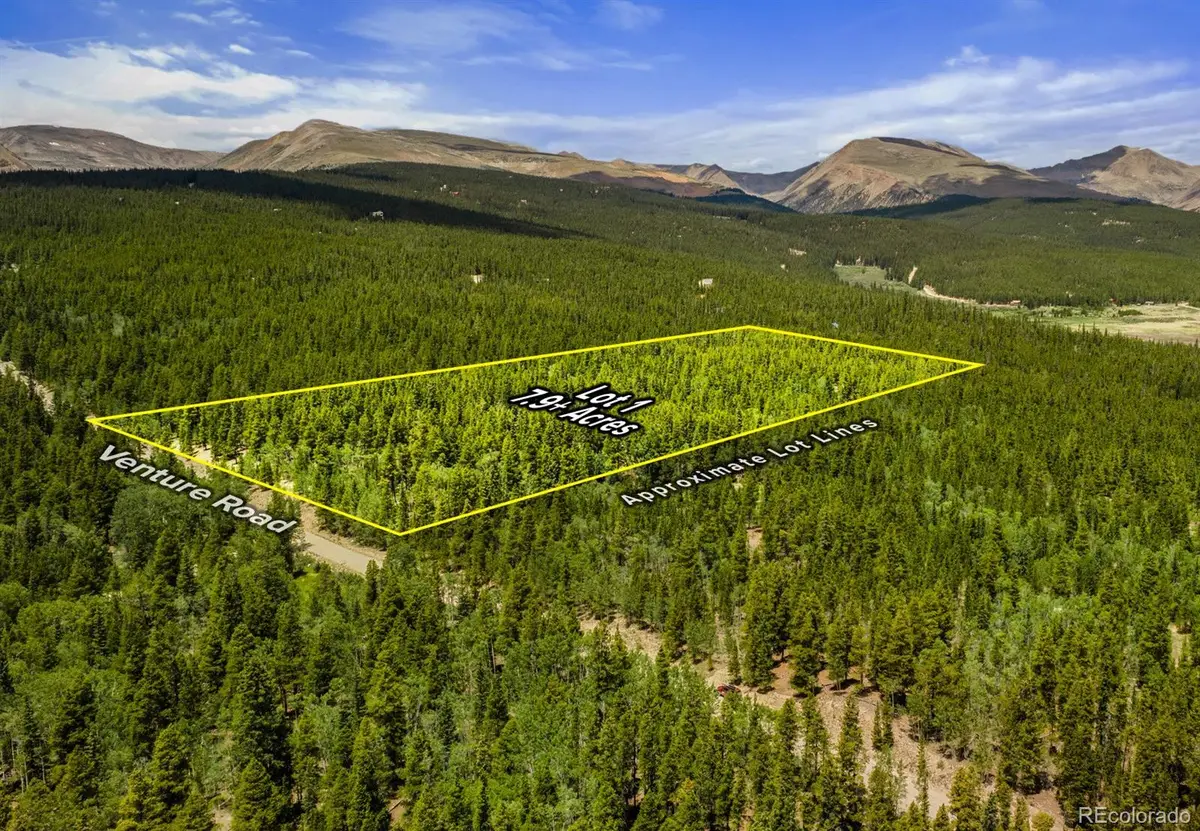 Lot 1 Venture Road, Fairplay, CO 80440 - #1