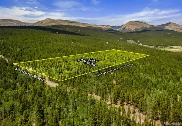 Lot 1 Venture Road, Fairplay, CO 80440