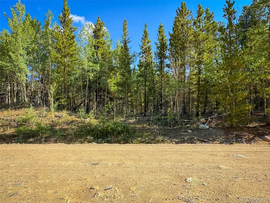 Lot 1 Venture Road, Fairplay, CO 80440 - #2