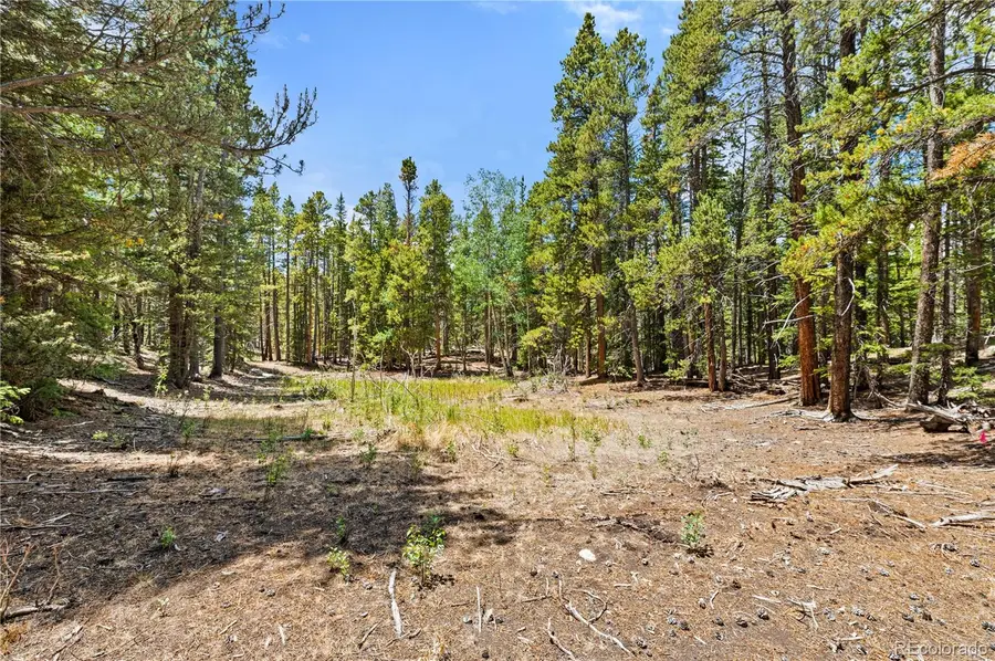 Lot 1 Venture Road, Fairplay, CO 80440 - #3