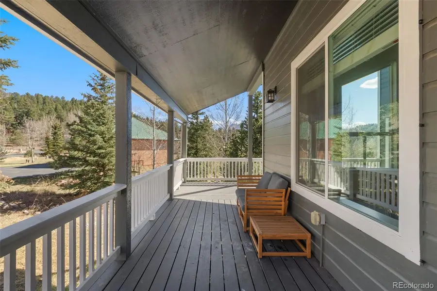 120 Red Clover Court, Woodland Park, CO 80863 - #3