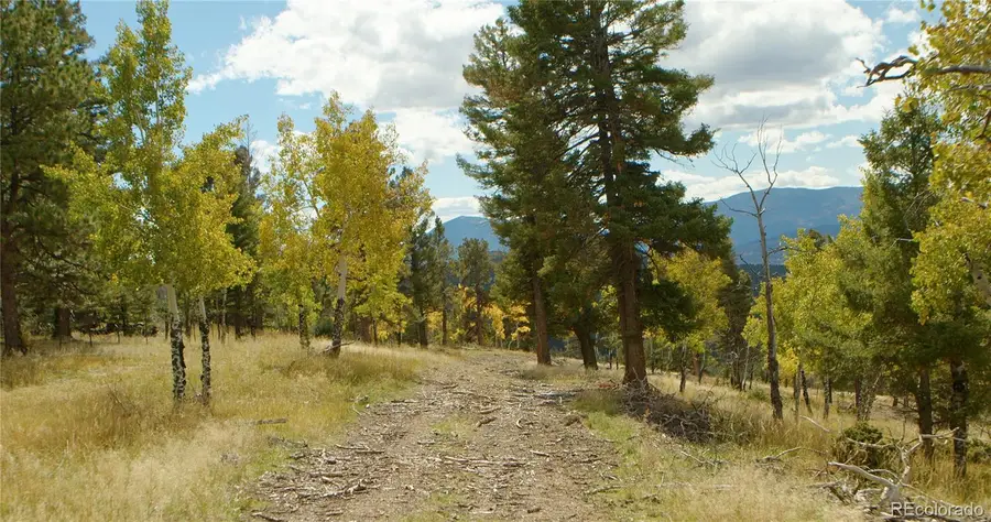 12434 S Us Hwy 285, Conifer, CO 80433 - #2