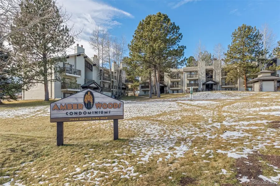 29656 Buffalo Park Road #206, Evergreen, CO 80439 - Image #2
