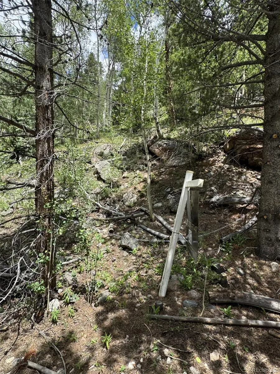 0 Loch Lomond Road, Idaho Springs, CO 80452 - #1