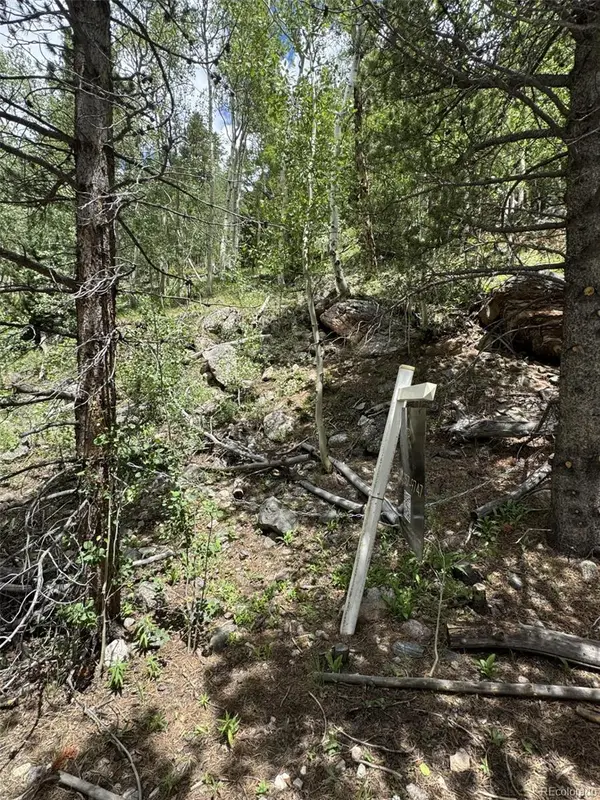 0 Loch Lomond Road, Idaho Springs, CO 80452