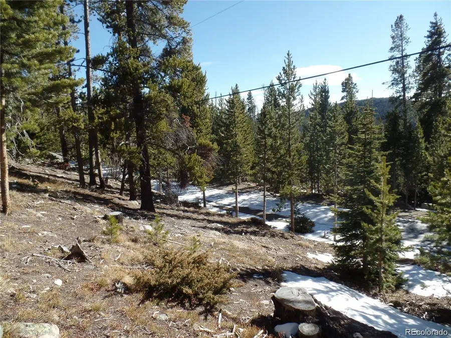 0 Loch Lomond Road, Idaho Springs, CO 80452 - #2