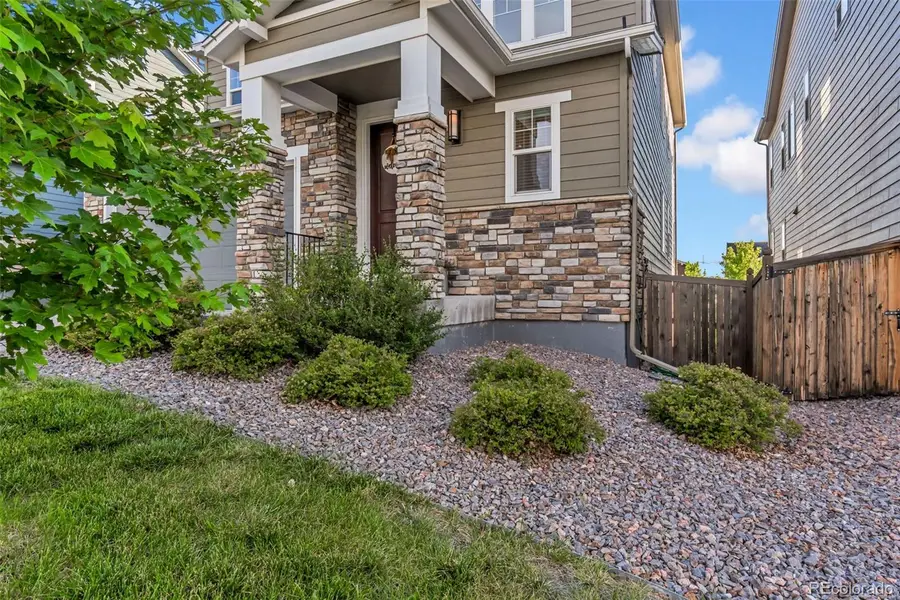 1172 Basalt Ridge Loop, Castle Rock, CO 80108 - #3