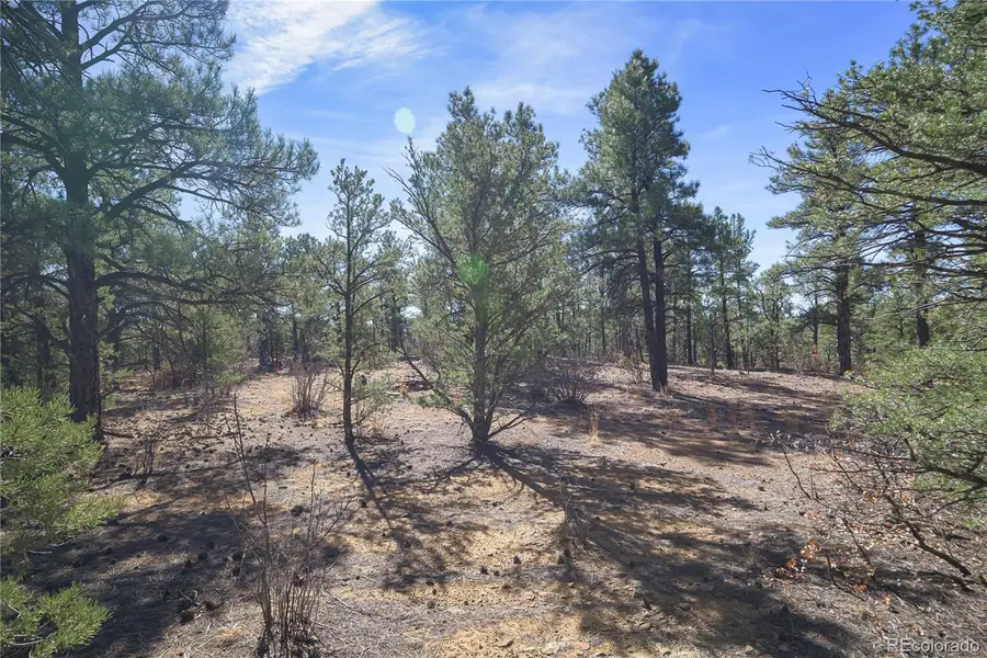 Rancho La Garita Lot 1129, Weston, CO 81091 - #2