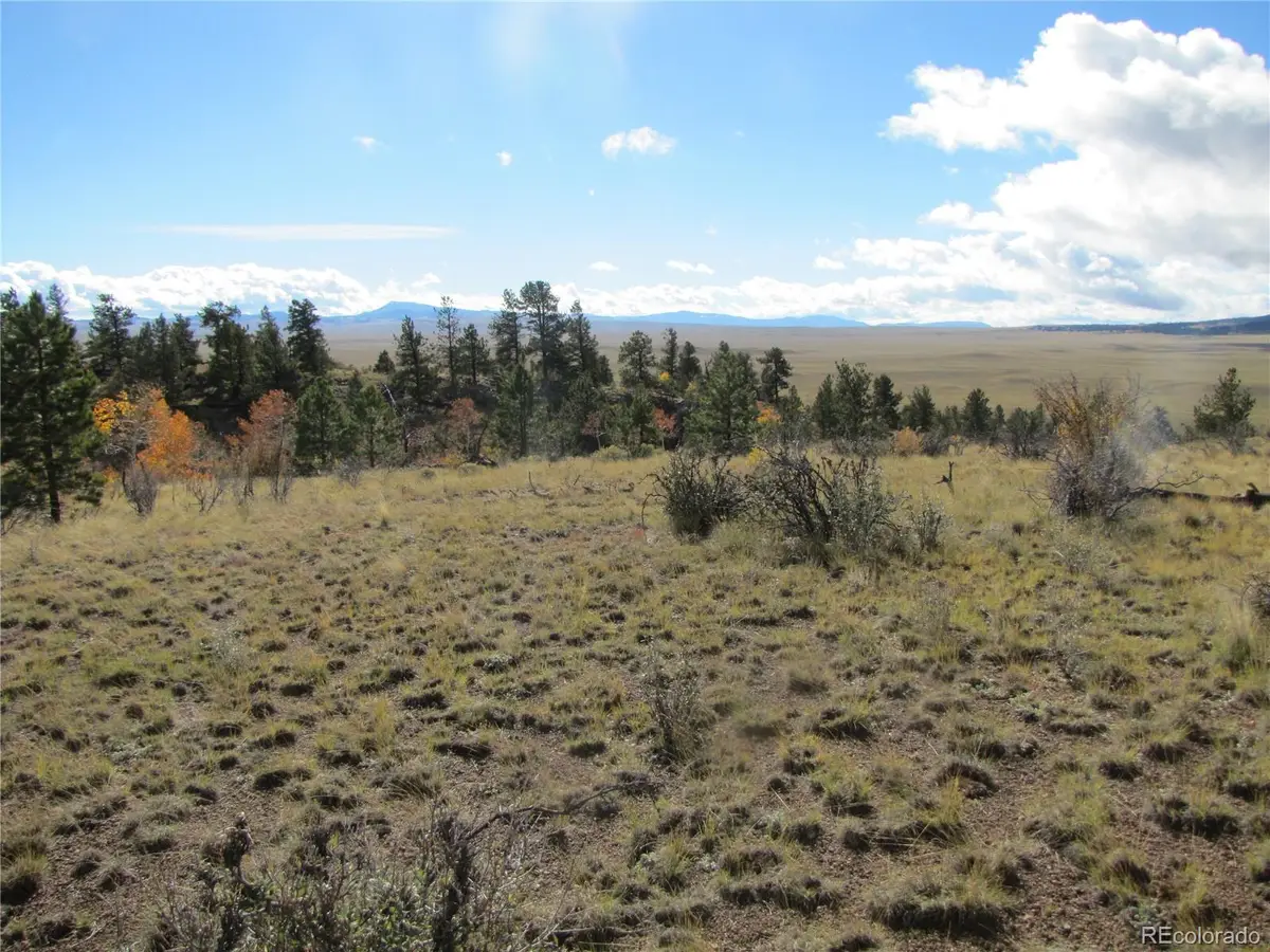 206 Bandolier Court, Hartsel, CO 80449 - #1
