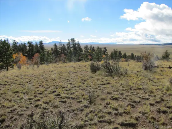 206 Bandolier Court, Hartsel, CO 80449