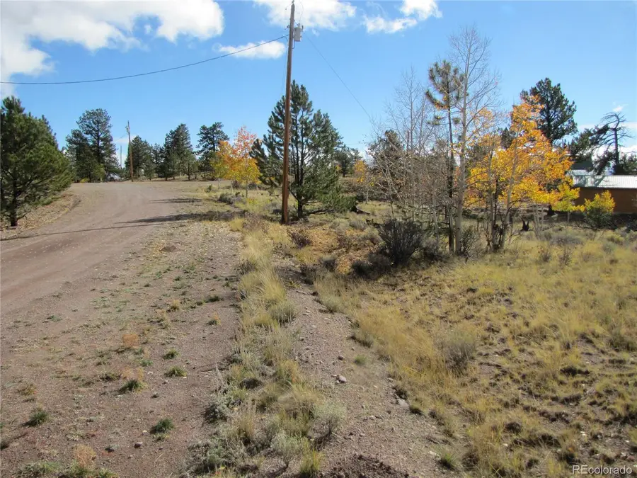 206 Bandolier Court, Hartsel, CO 80449 - #3