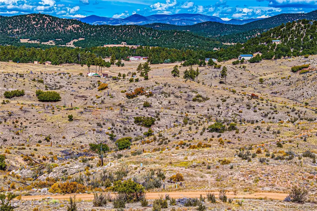 701 Shannon Trail, Cotopaxi, CO 81223 - #1