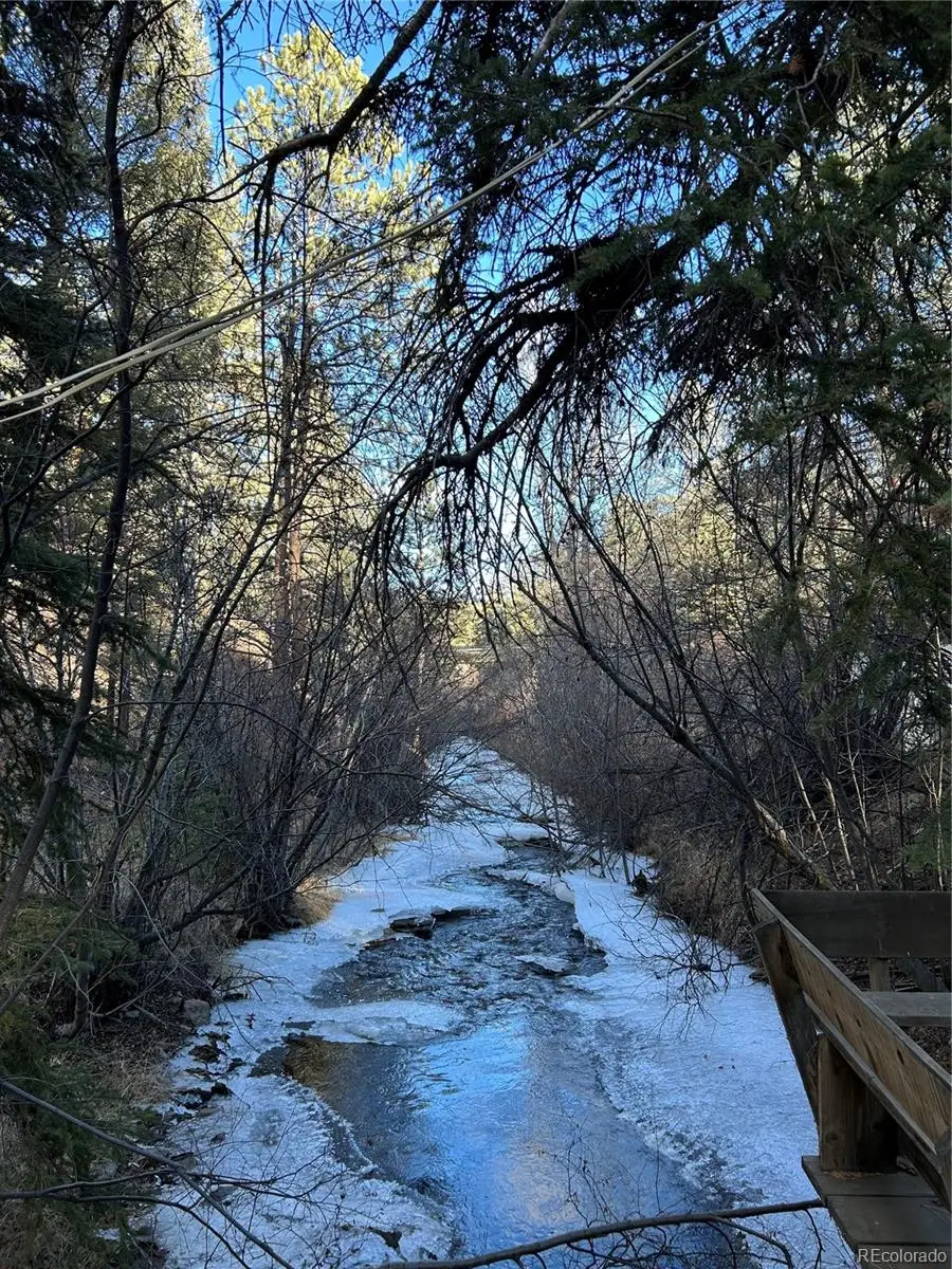 15322 S Elk Creek Road, Pine, CO 80470 - Image #2