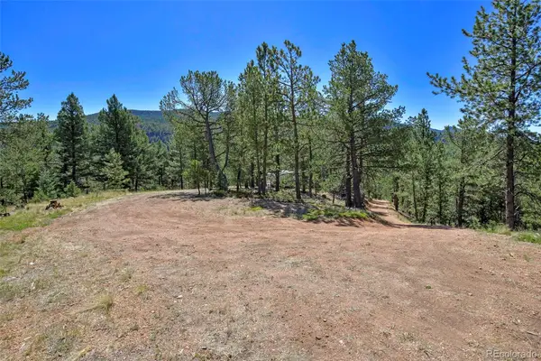 20083 S State Highway 67, Divide, CO 80814
