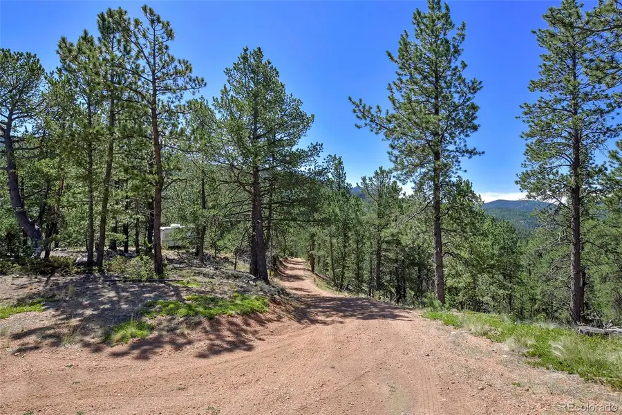 20083 S State Highway 67, Divide, CO 80814 - #2