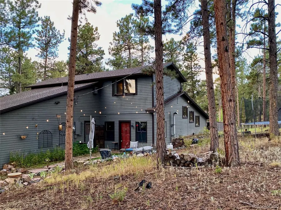 10131 Apache Spring Drive, Conifer, CO 80433 - Image #2