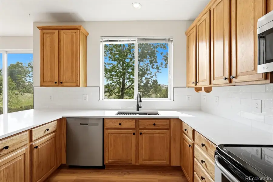 10089 Astorbrook Lane, Highlands Ranch, CO 80126 - #3