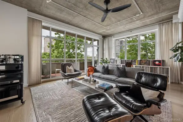 290 W 12th Avenue #203, Denver, CO 80204