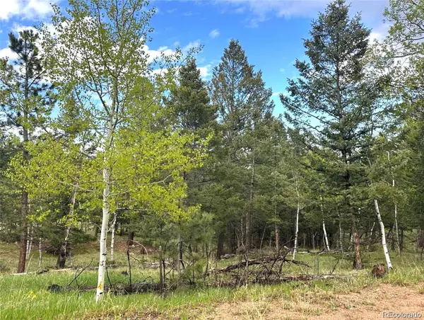1845 Burland Drive, Bailey, CO 80421