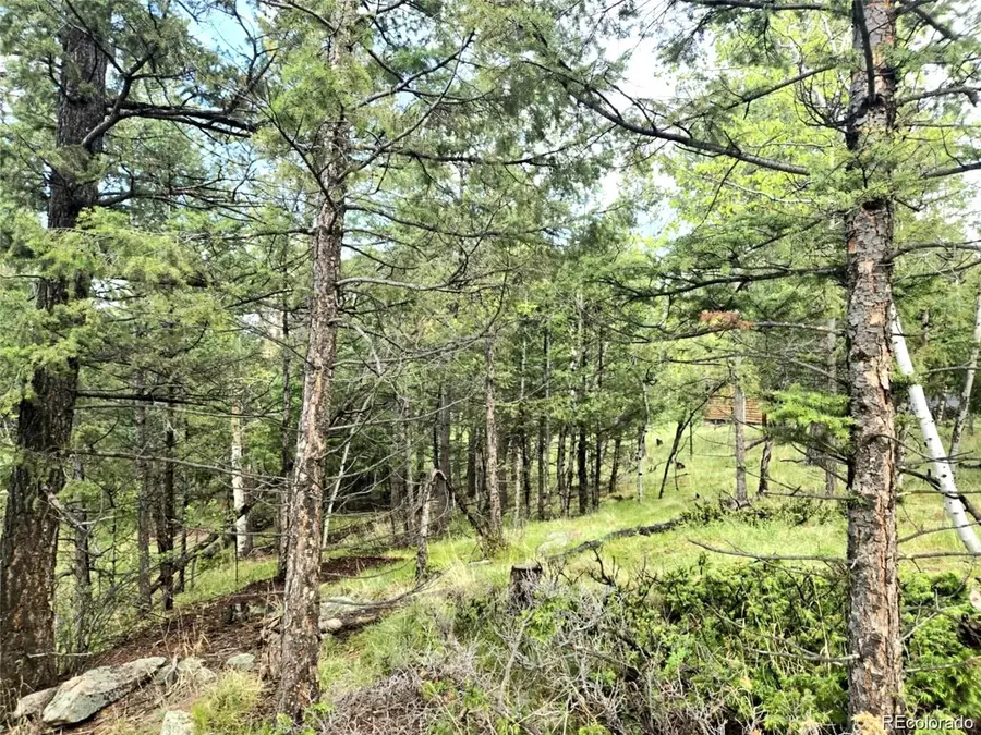 1845 Burland Drive, Bailey, CO 80421 - #2