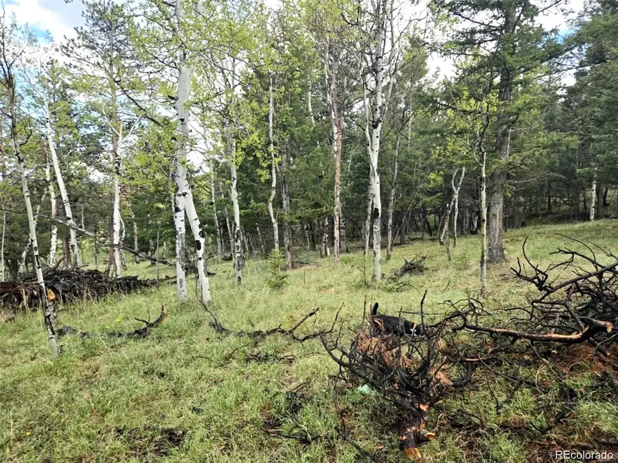 1845 Burland Drive, Bailey, CO 80421 - #3