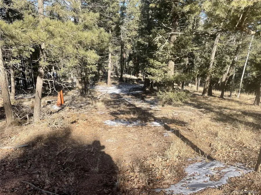 1873 N Mountain Estates Road, Florissant, CO 80816 - Image #2