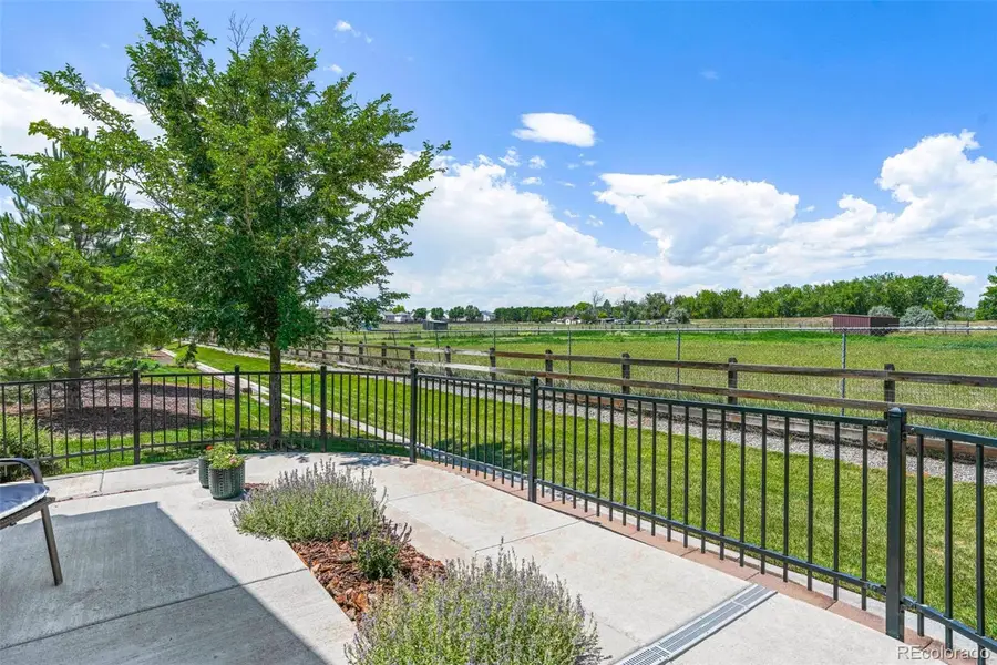12617 Monroe Drive, Thornton, CO 80241 - #3