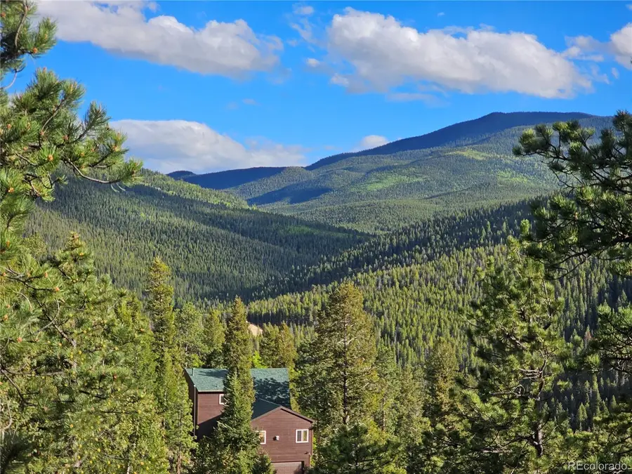 32783 Lodgepole Circle, Evergreen, CO 80439 - #3