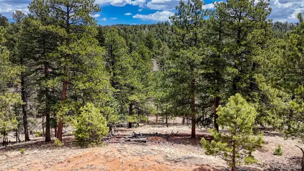 16 View Circle, Florissant, CO 80816