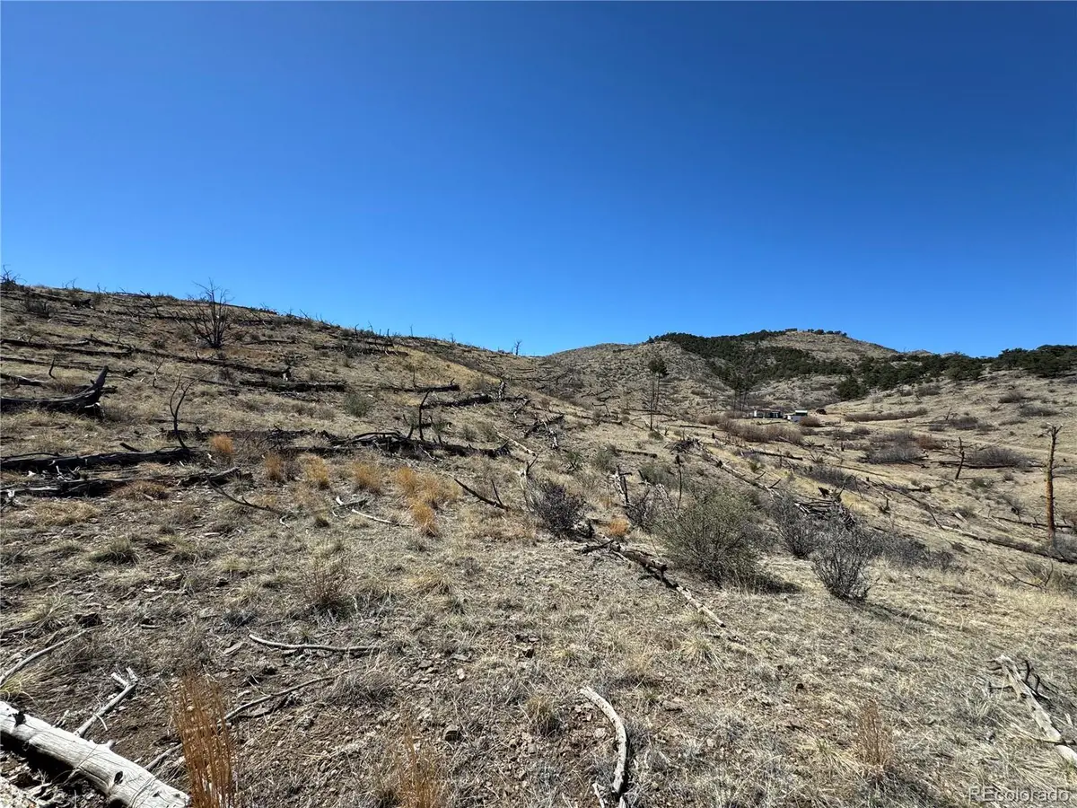 TBD 32nd F Path, Cotopaxi, CO 81223 - #1