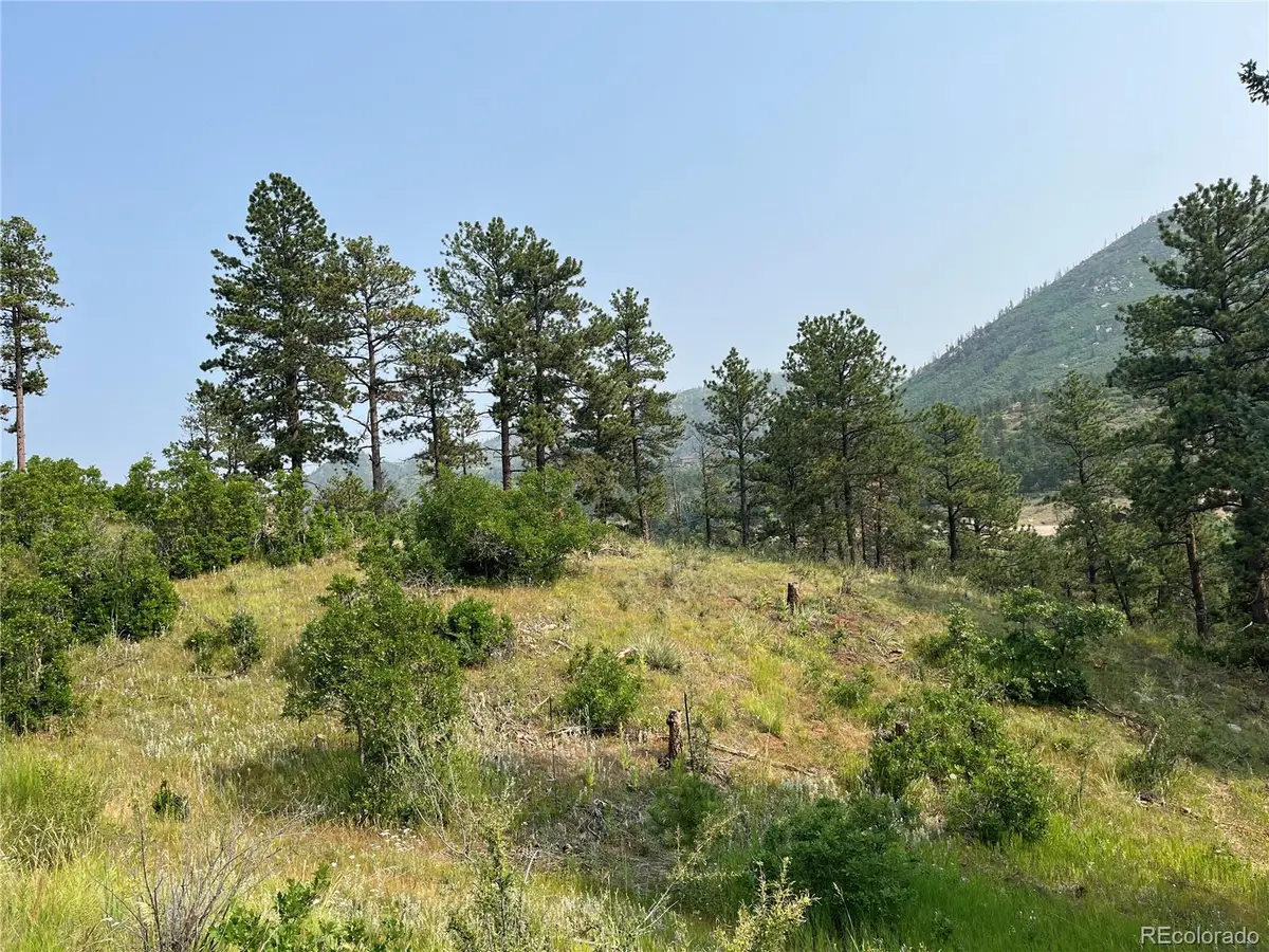 5330 Chipita Pines Drive, Cascade, CO 80809 - Image #1